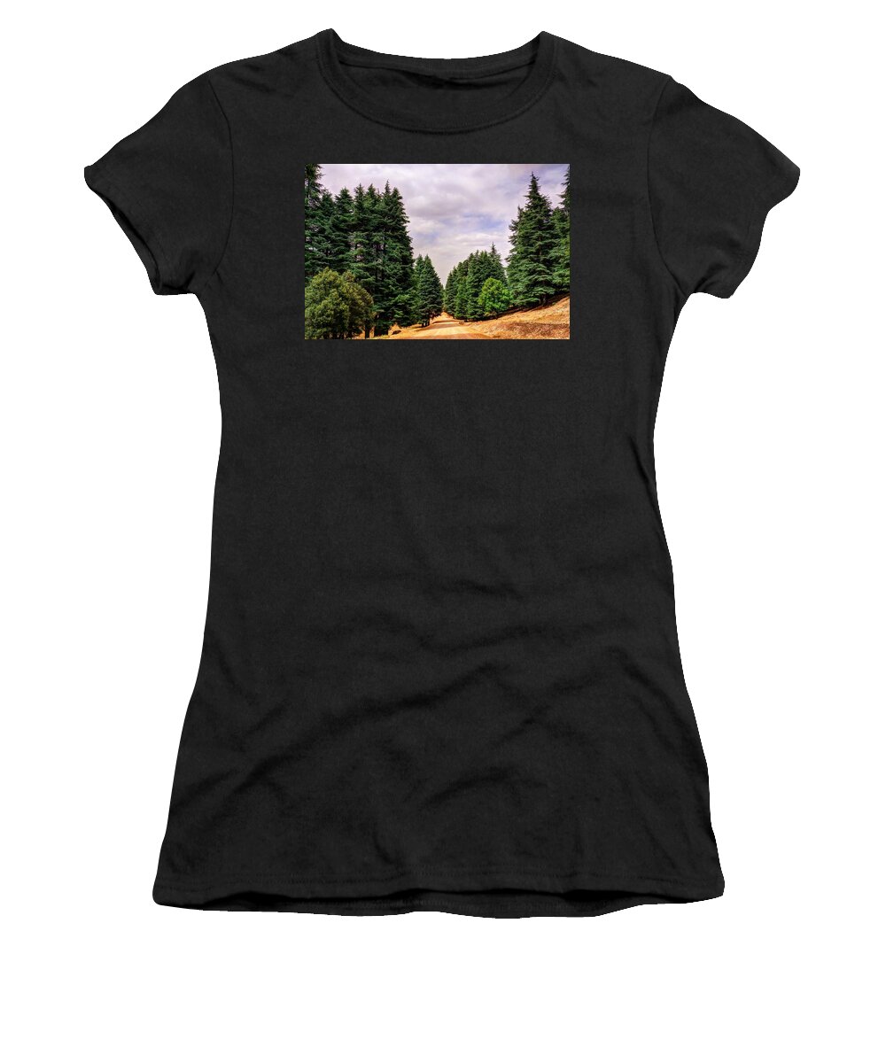 Cedar Women's T-Shirt featuring the photograph Cedar forest by Ivan Slosar