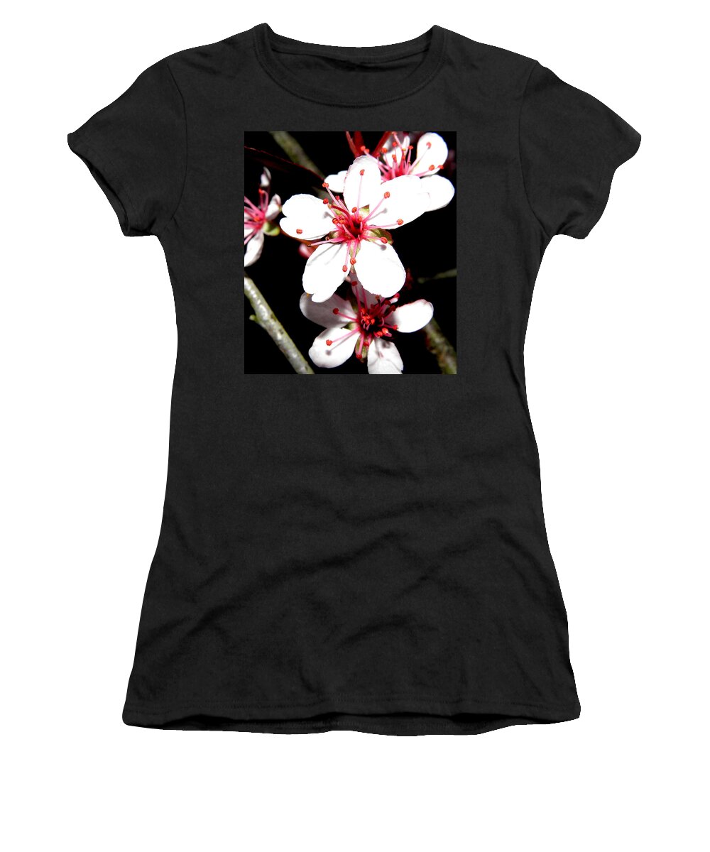 Cherry Blossoms Women's T-Shirt featuring the photograph Cherry Blooms At Night by Kim Galluzzo Wozniak
