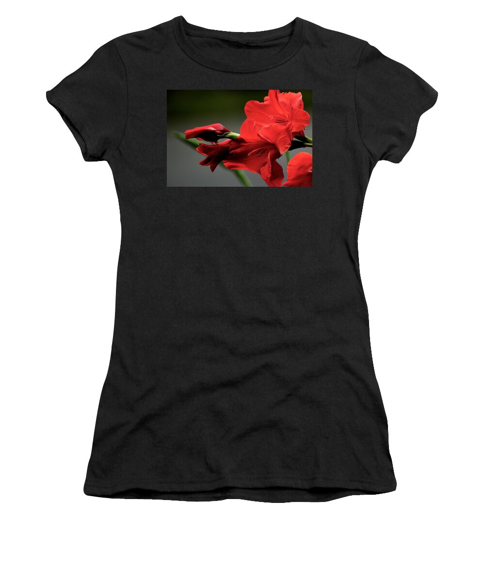 Flower Women's T-Shirt featuring the photograph Chromatic Gladiola by Deborah Crew-Johnson