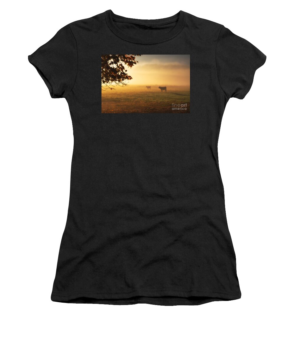 Cows Women's T-Shirt featuring the photograph Cows in a foggy field by Mats Silvan