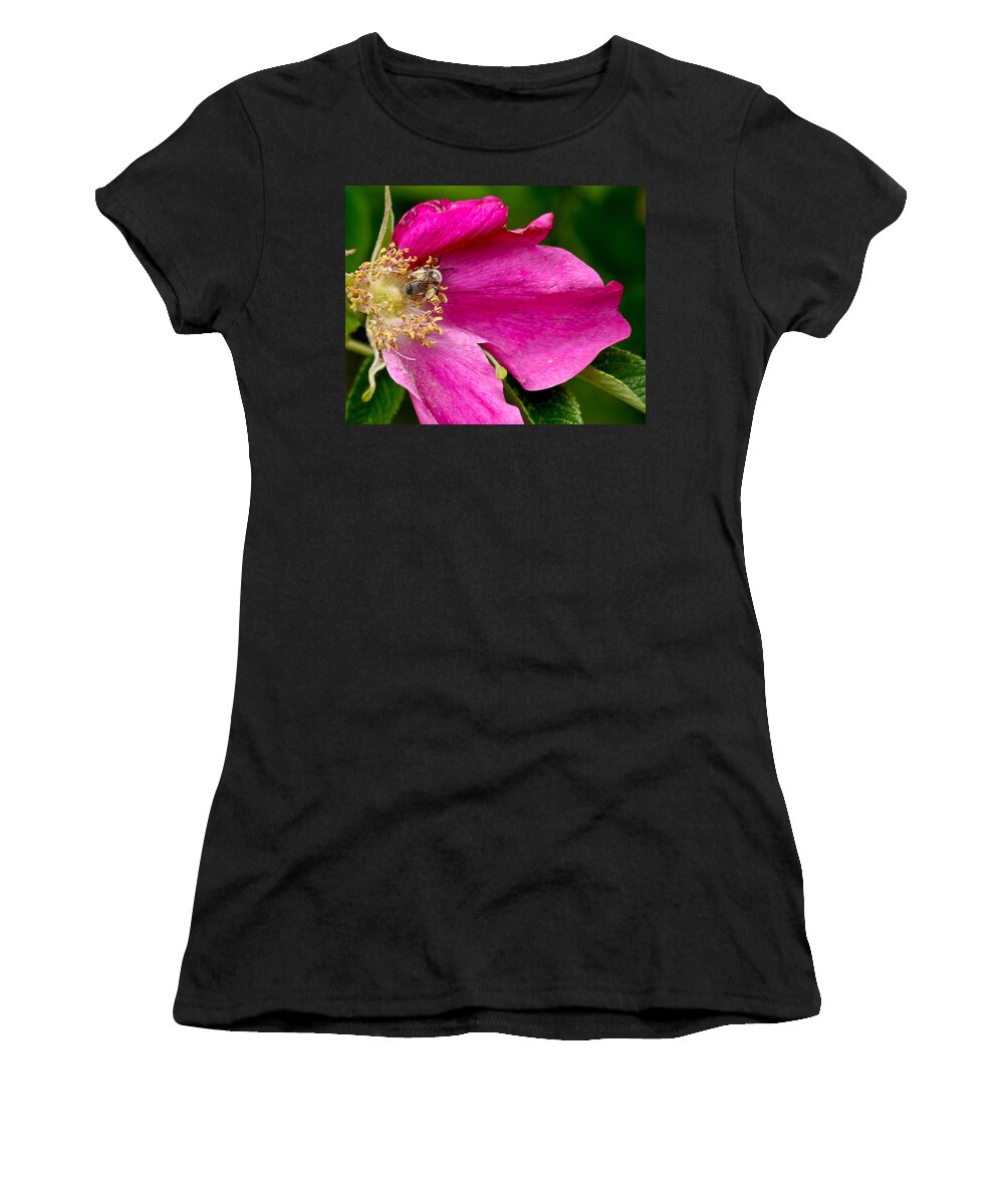 Flower Women's T-Shirt featuring the photograph Cutaway by Jean Noren