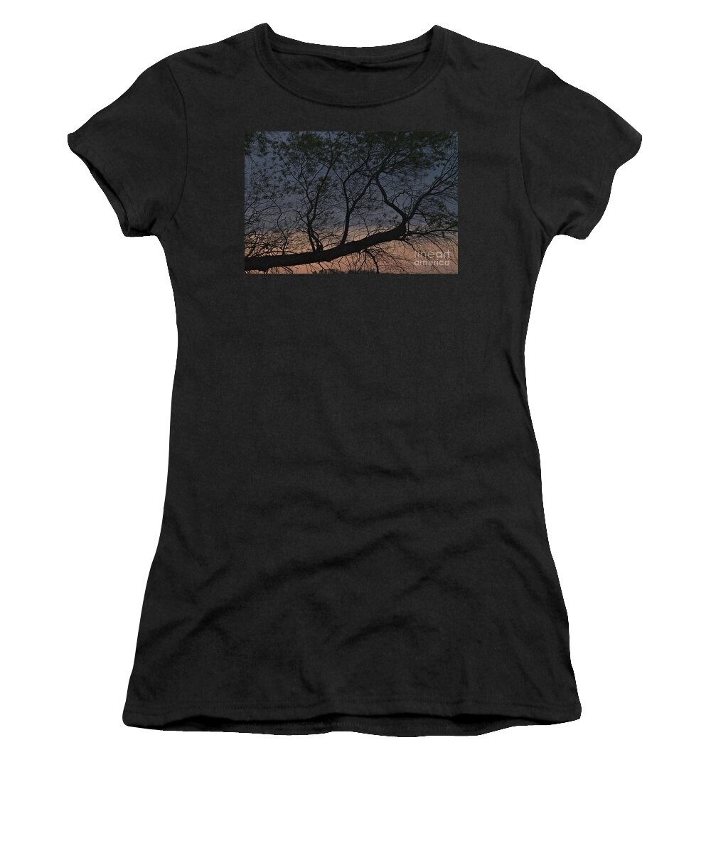 Tree Women's T-Shirt featuring the photograph Dawn by William Norton