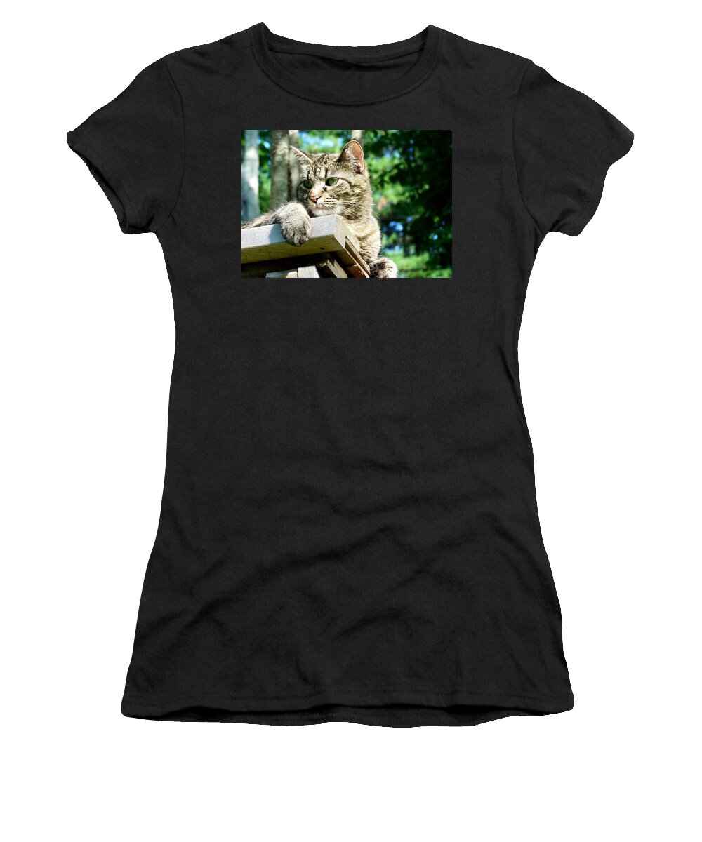 Cat Women's T-Shirt featuring the photograph Echoe 1 by Kim Galluzzo