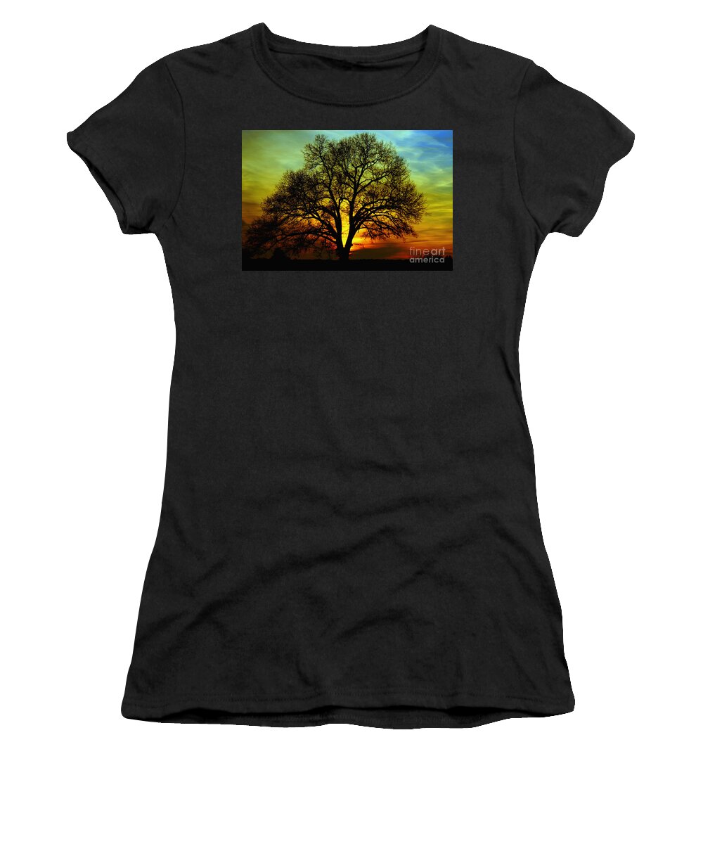 Tree Women's T-Shirt featuring the photograph Evening Palette by Benanne Stiens