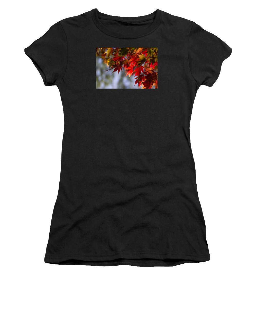 Japanese Women's T-Shirt featuring the photograph Fall Leaves Glowing Like Flames. by Clare Bambers