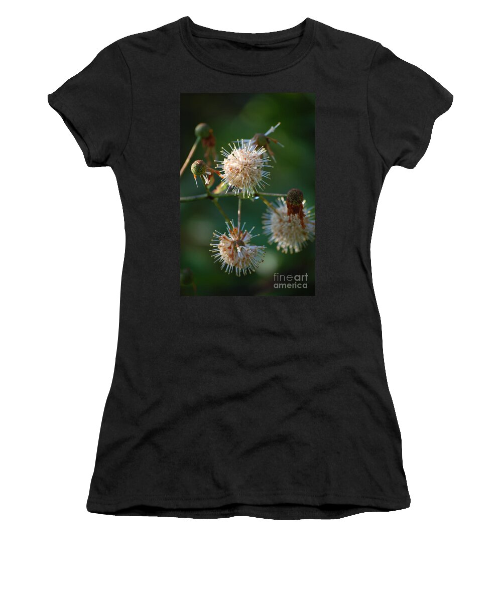 Buttonbush Women's T-Shirt featuring the photograph Fallen Flowers by Robert Meanor
