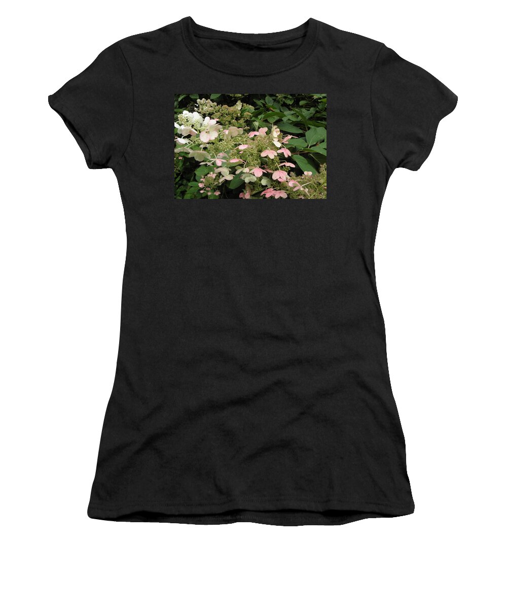 Hydrangea Women's T-Shirt featuring the photograph FALLing into pastels by Kim Galluzzo Wozniak