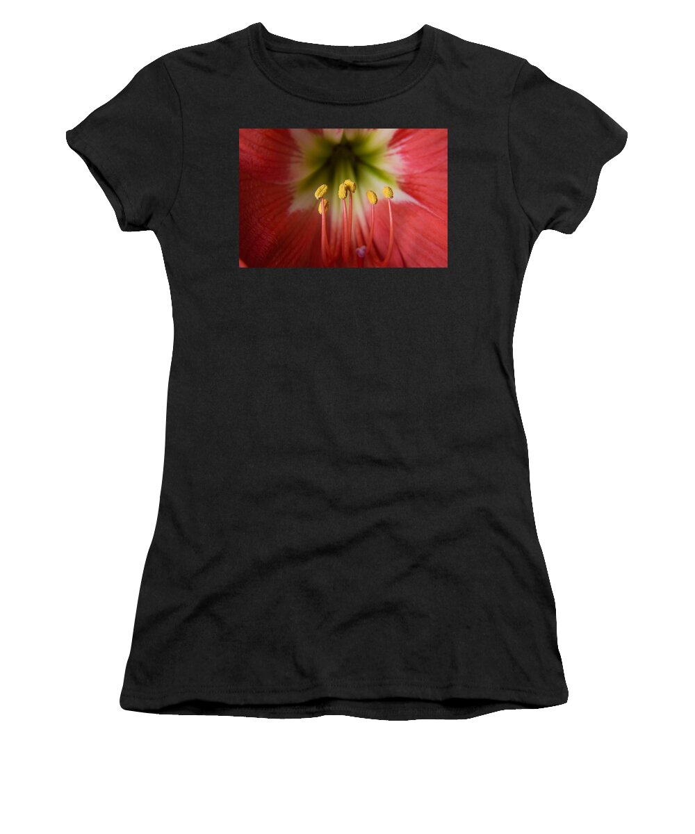 Bangalore Women's T-Shirt featuring the photograph Flower by SAURAVphoto Online Store