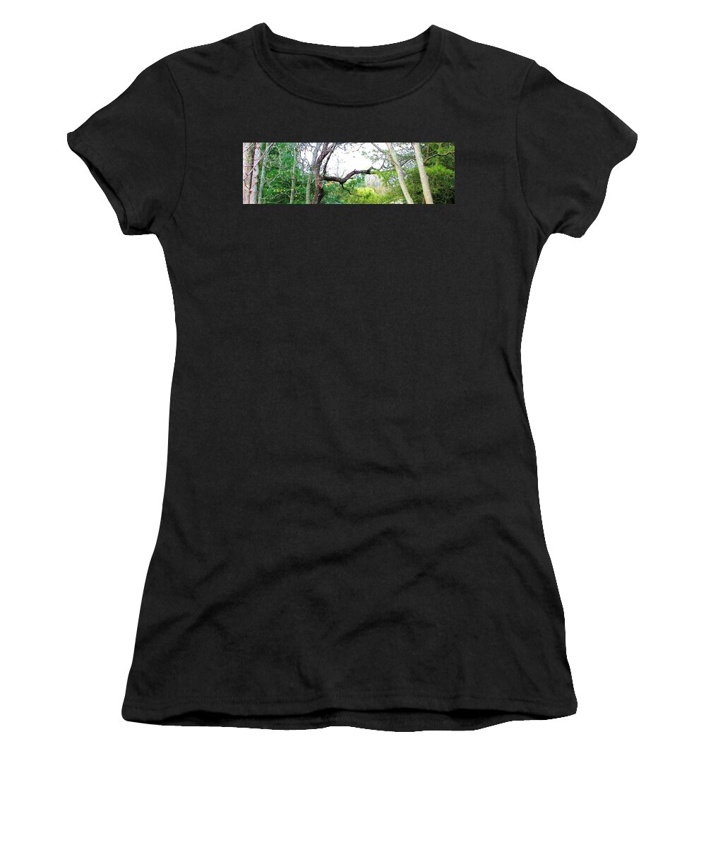 Trees Women's T-Shirt featuring the photograph Flying Branch by Pamela Hyde Wilson