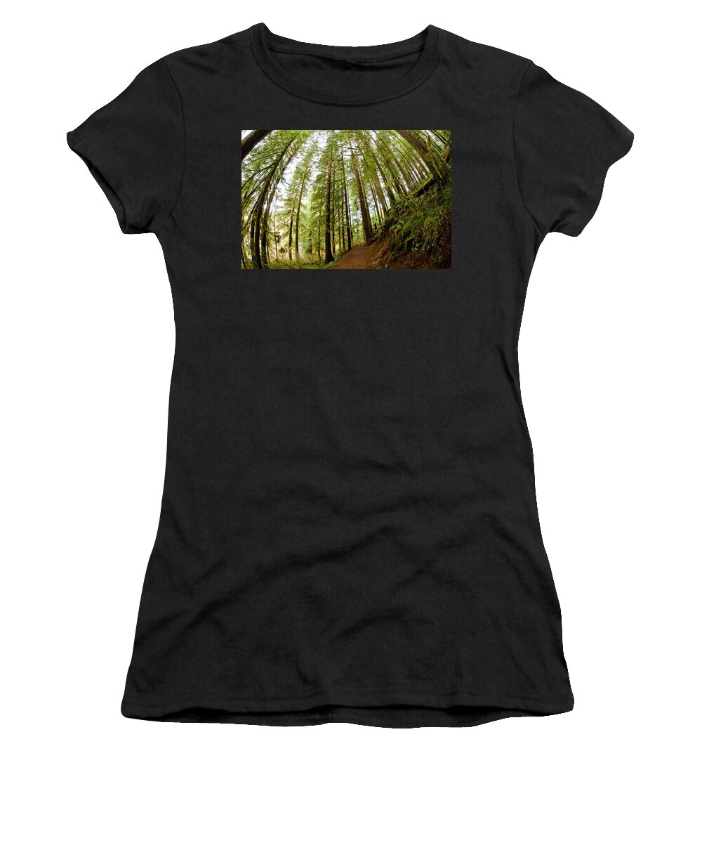 Forest Women's T-Shirt featuring the photograph Forest Love by Margaret Pitcher