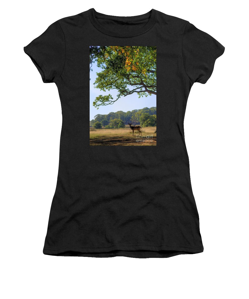 Fallow Deer Women's T-Shirt featuring the photograph From A Distance by Yhun Suarez
