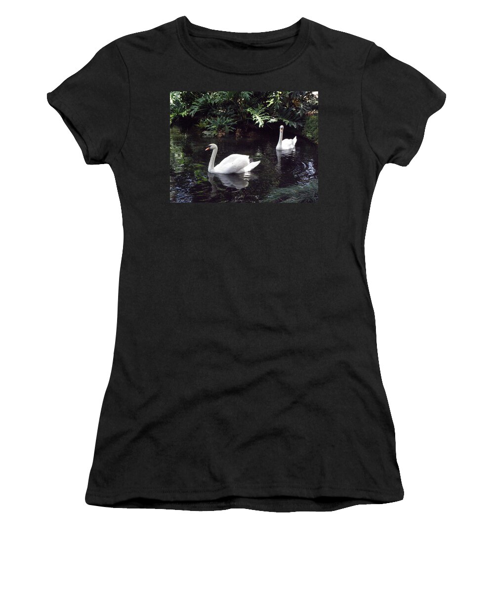 Swan Women's T-Shirt featuring the photograph Gracefully Swimming by Kim Galluzzo