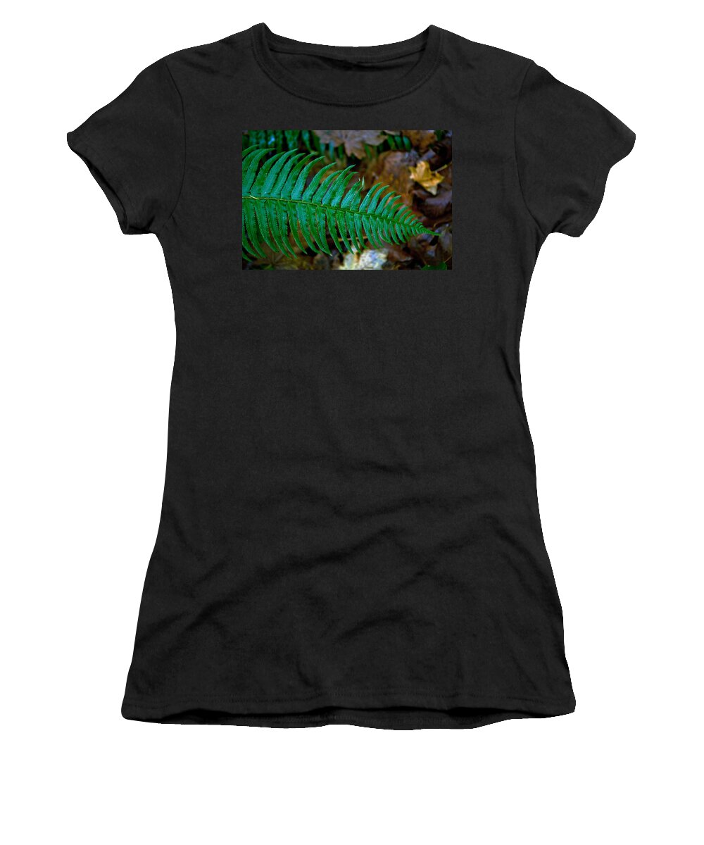 Autumn Women's T-Shirt featuring the photograph Green Fern by Tikvah's Hope