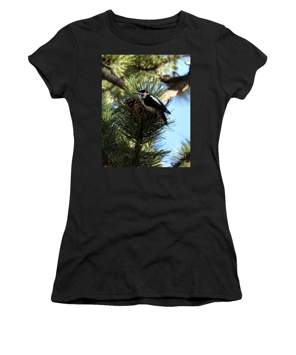 Woodpecker Women's T-Shirt featuring the photograph Hairy Woodpecker on Pine Cone by Dorrene BrownButterfield