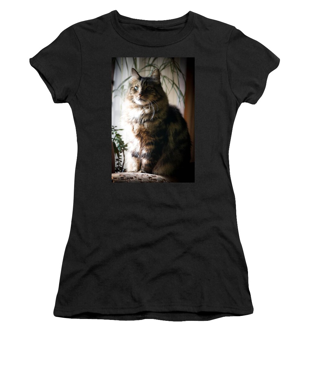 Cat Women's T-Shirt featuring the photograph Harvey Wallbanger by Trish Tritz