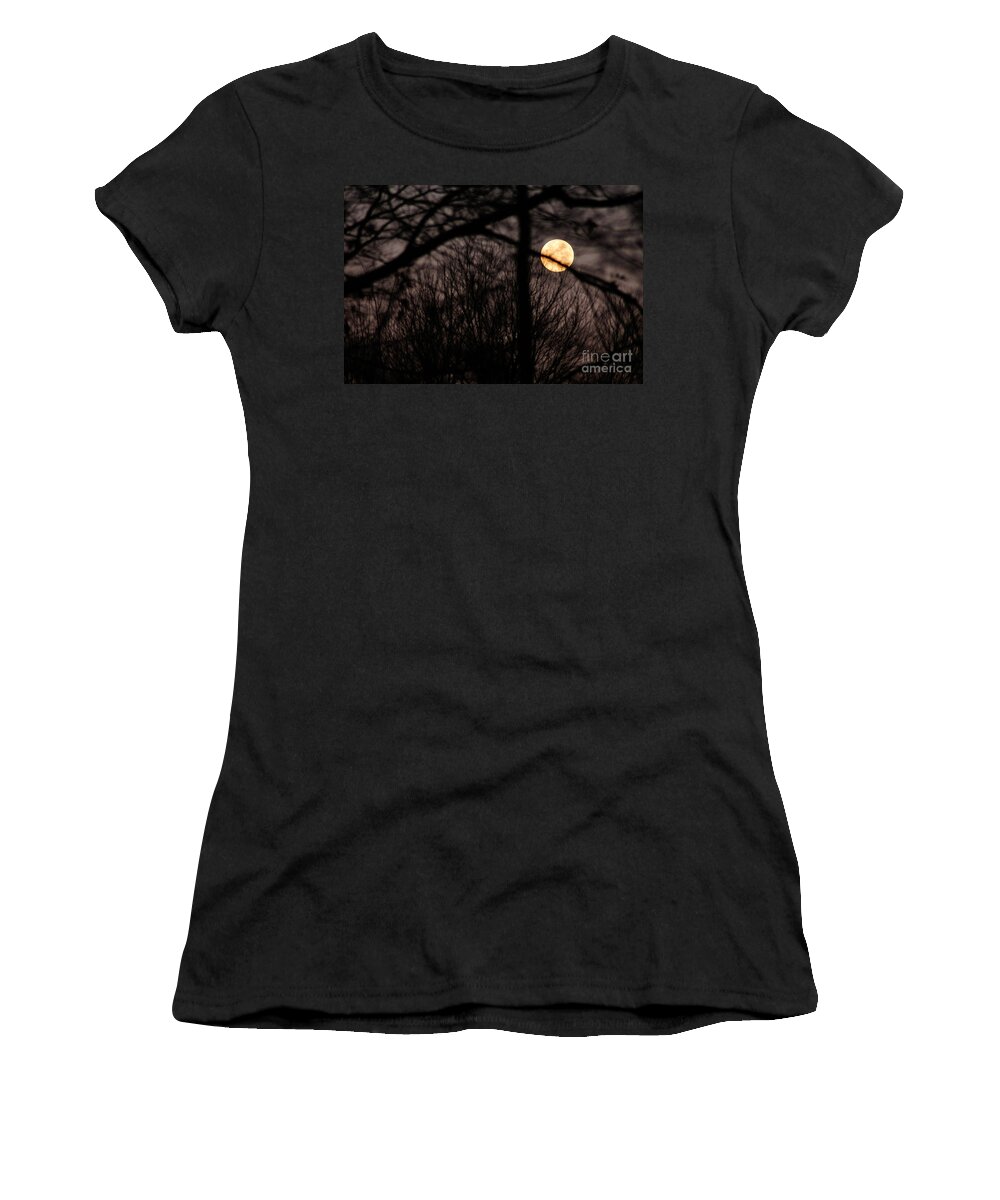 Clay Women's T-Shirt featuring the photograph Haunted Forest by Clayton Bruster