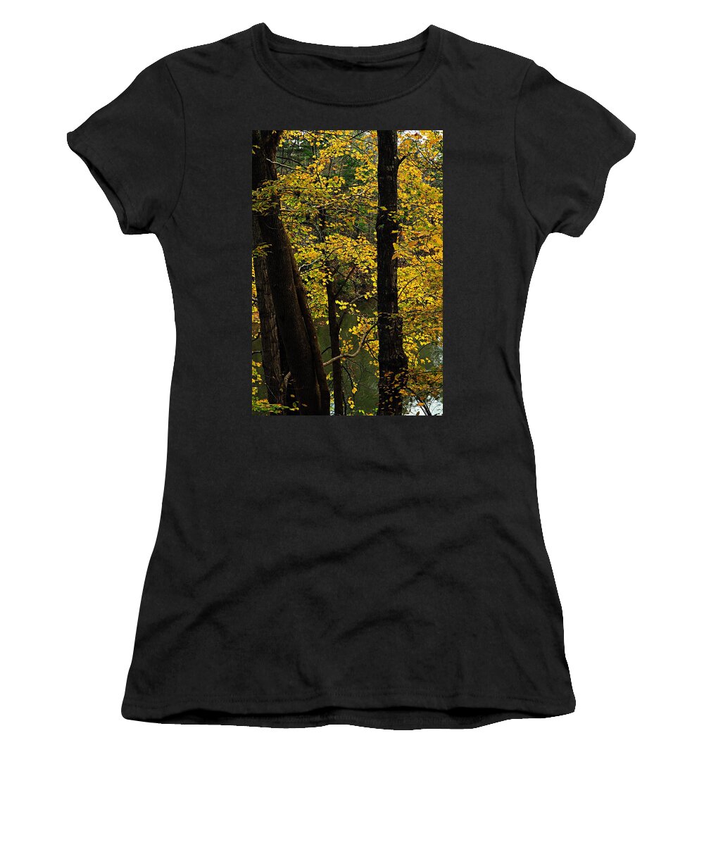 Jenny Wiley State Park Women's T-Shirt featuring the photograph Impressions of Autumn 1 by Larry Ricker