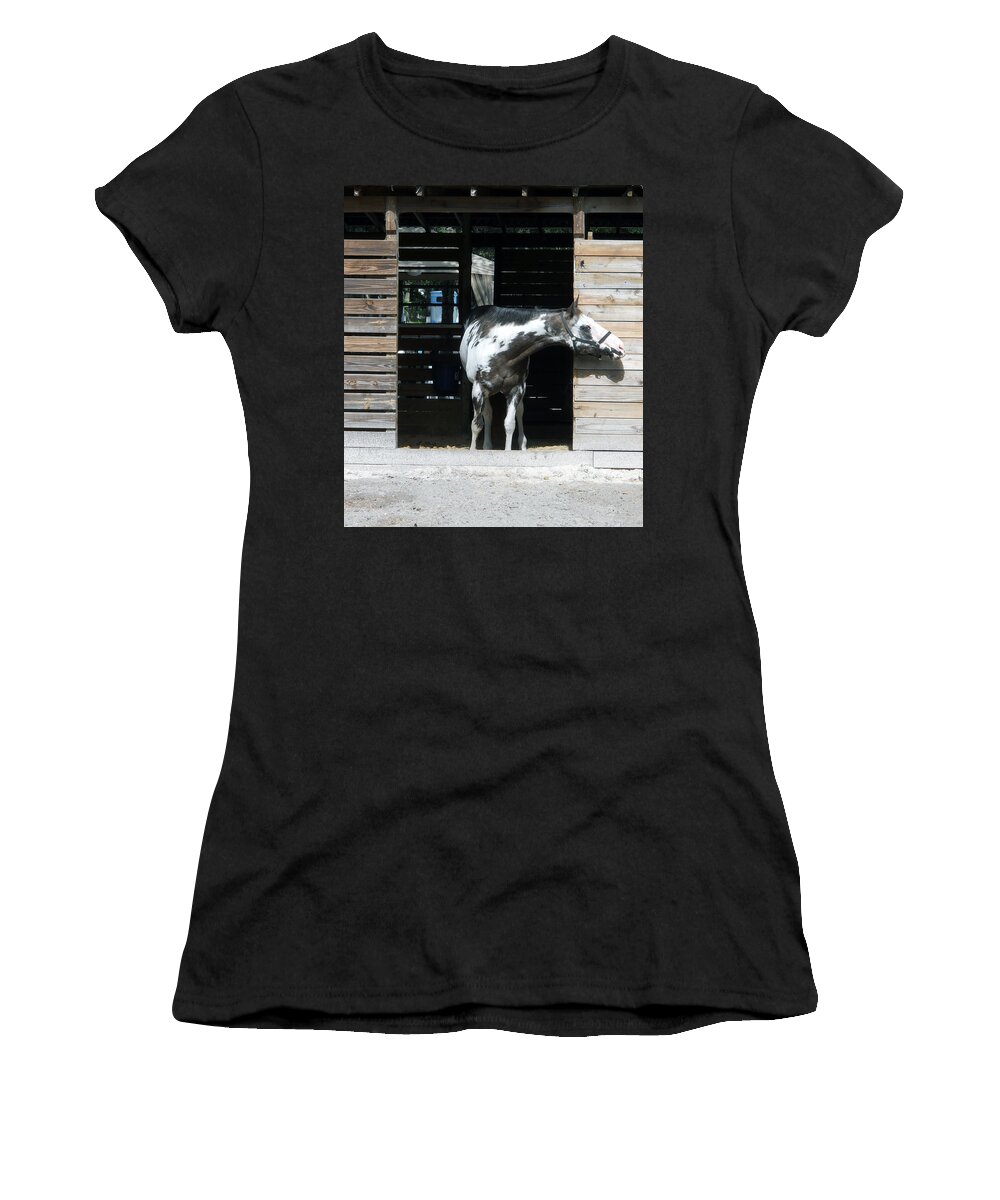 Horse Women's T-Shirt featuring the photograph Is It Safe to Come Out by Judy Hall-Folde