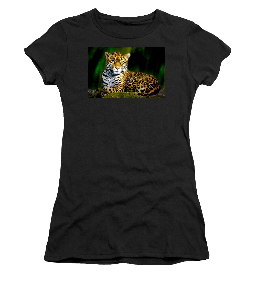 Animal Women's T-Shirt featuring the photograph Jaguar by Jarrod Erbe