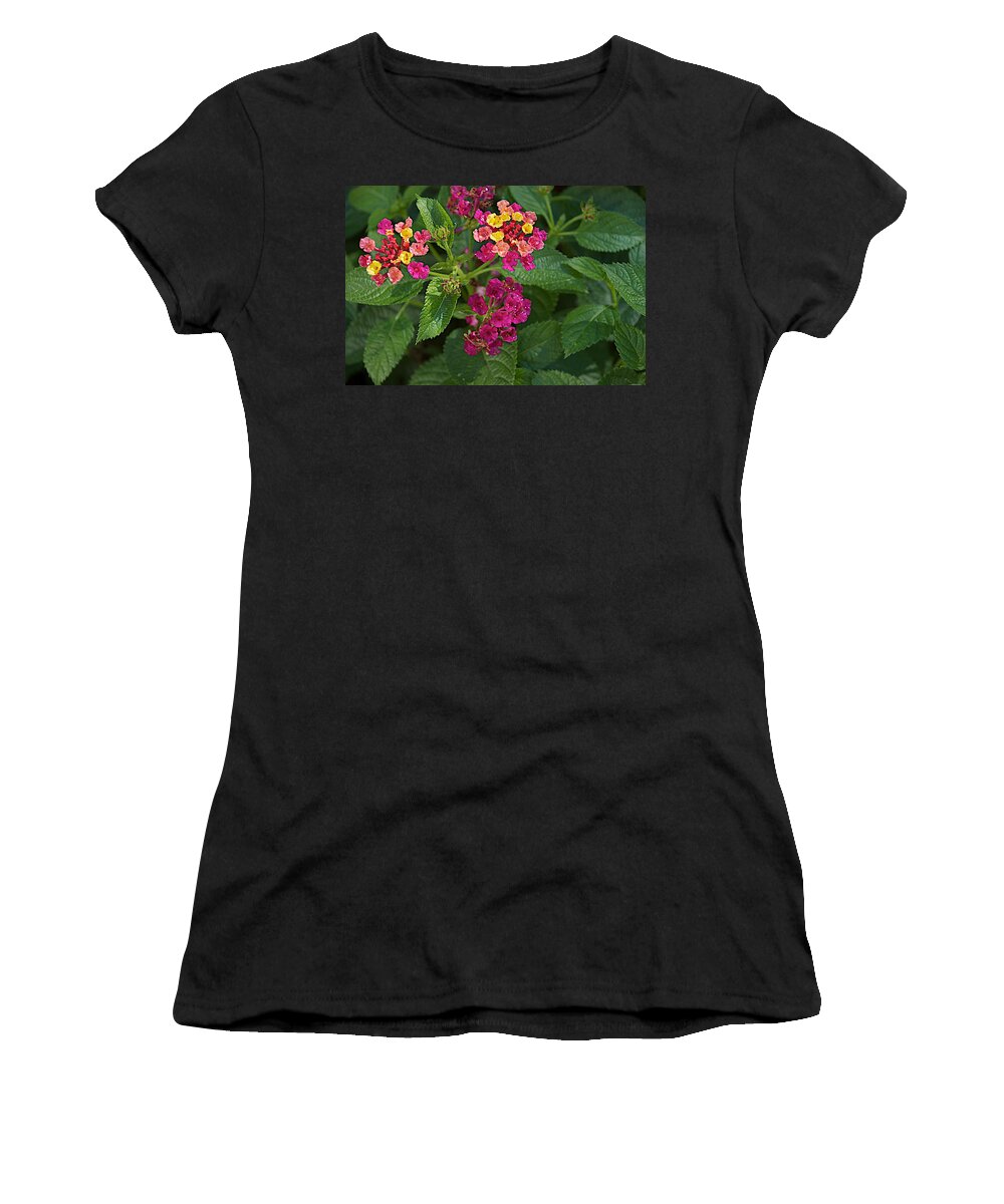 Flower Women's T-Shirt featuring the photograph Lantana by Joseph Yarbrough