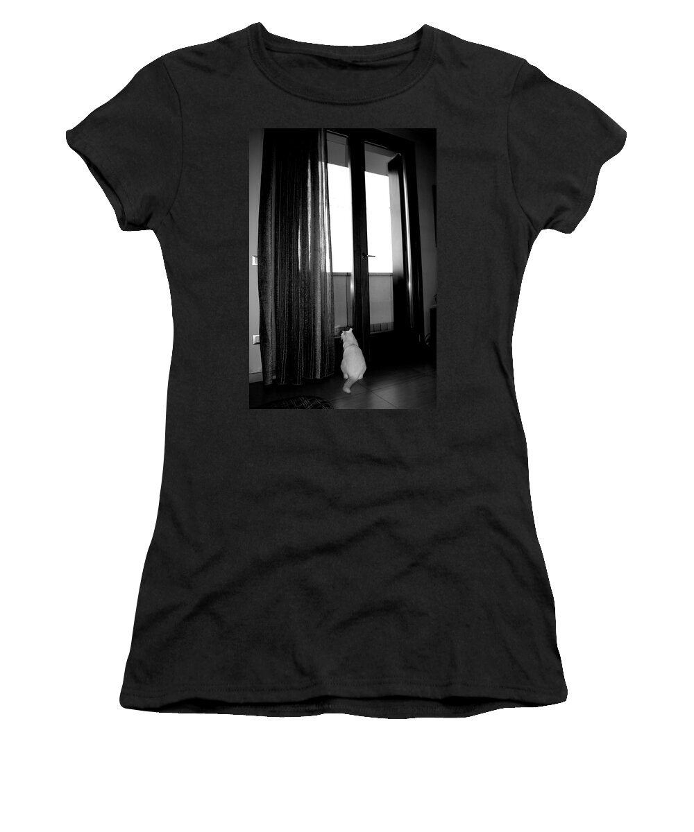 Gatto Women's T-Shirt featuring the photograph Let Me Go by Donato Iannuzzi