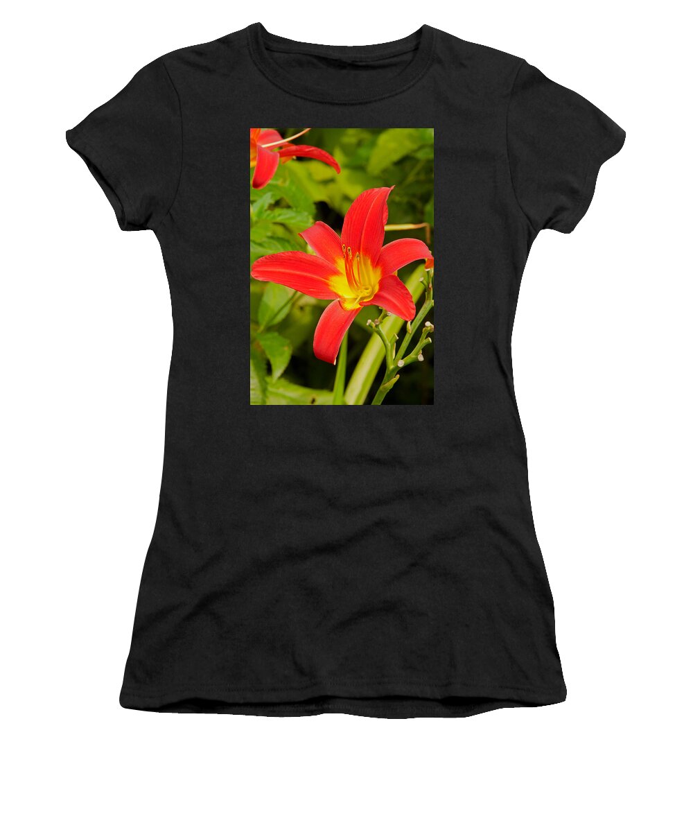 Brilliant Blooms Women's T-Shirt featuring the photograph Lilly by Paul Mangold
