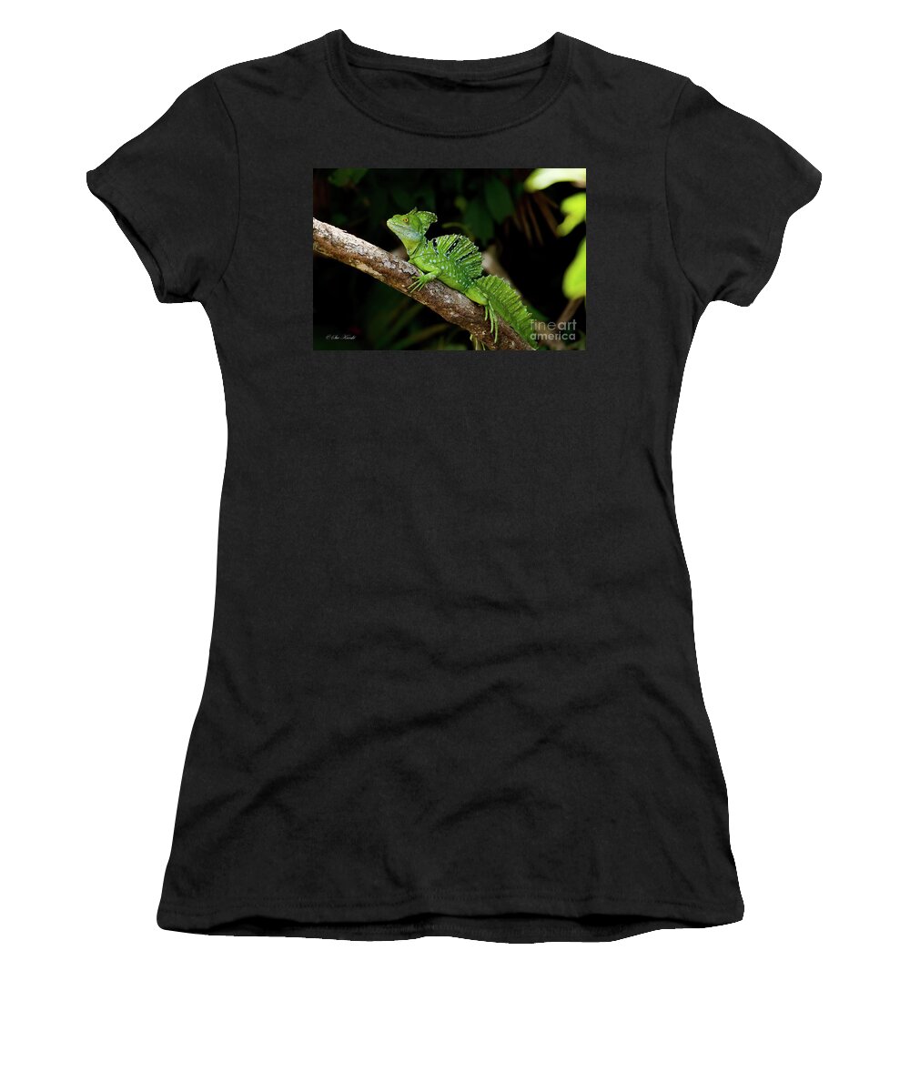 Costa Rica Women's T-Shirt featuring the photograph Lizard on a Stick by Sue Karski