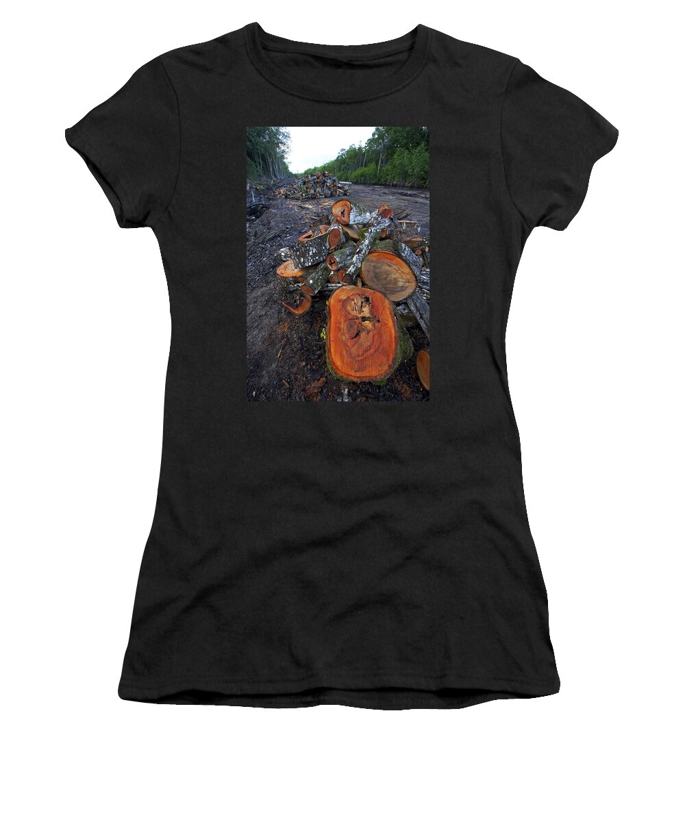 00463376 Women's T-Shirt featuring the photograph Logged Red Mangrove Forest by Christian Ziegler
