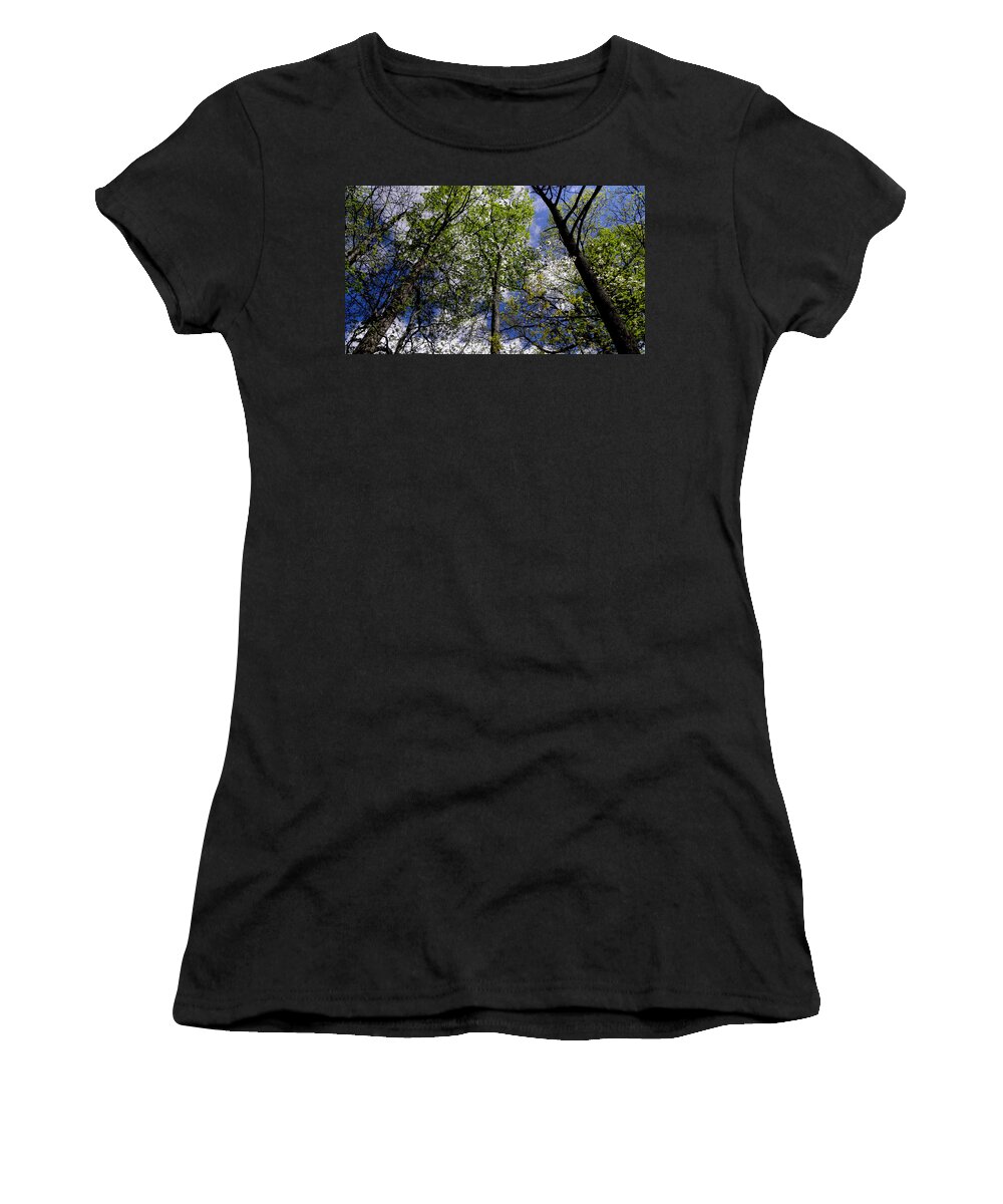 Trees Women's T-Shirt featuring the photograph Look Up by Kim Galluzzo