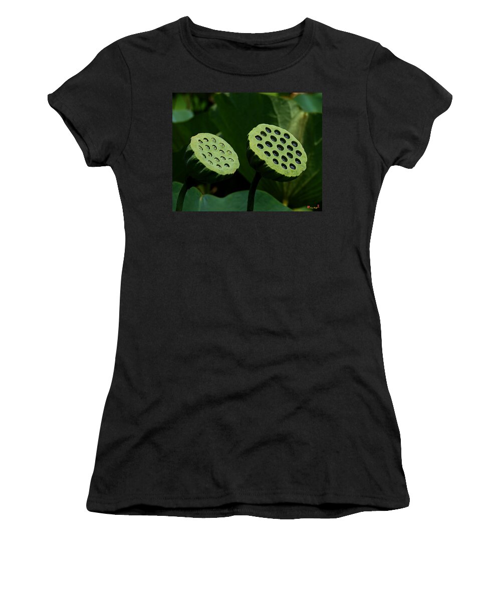 Nature Women's T-Shirt featuring the photograph Lotus Capsules-Sun Worshipers DL052 by Gerry Gantt