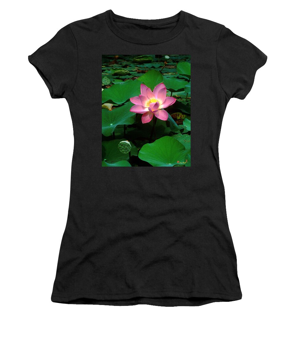 Nature Women's T-Shirt featuring the photograph Lotus Flower and Capsule 24A by Gerry Gantt