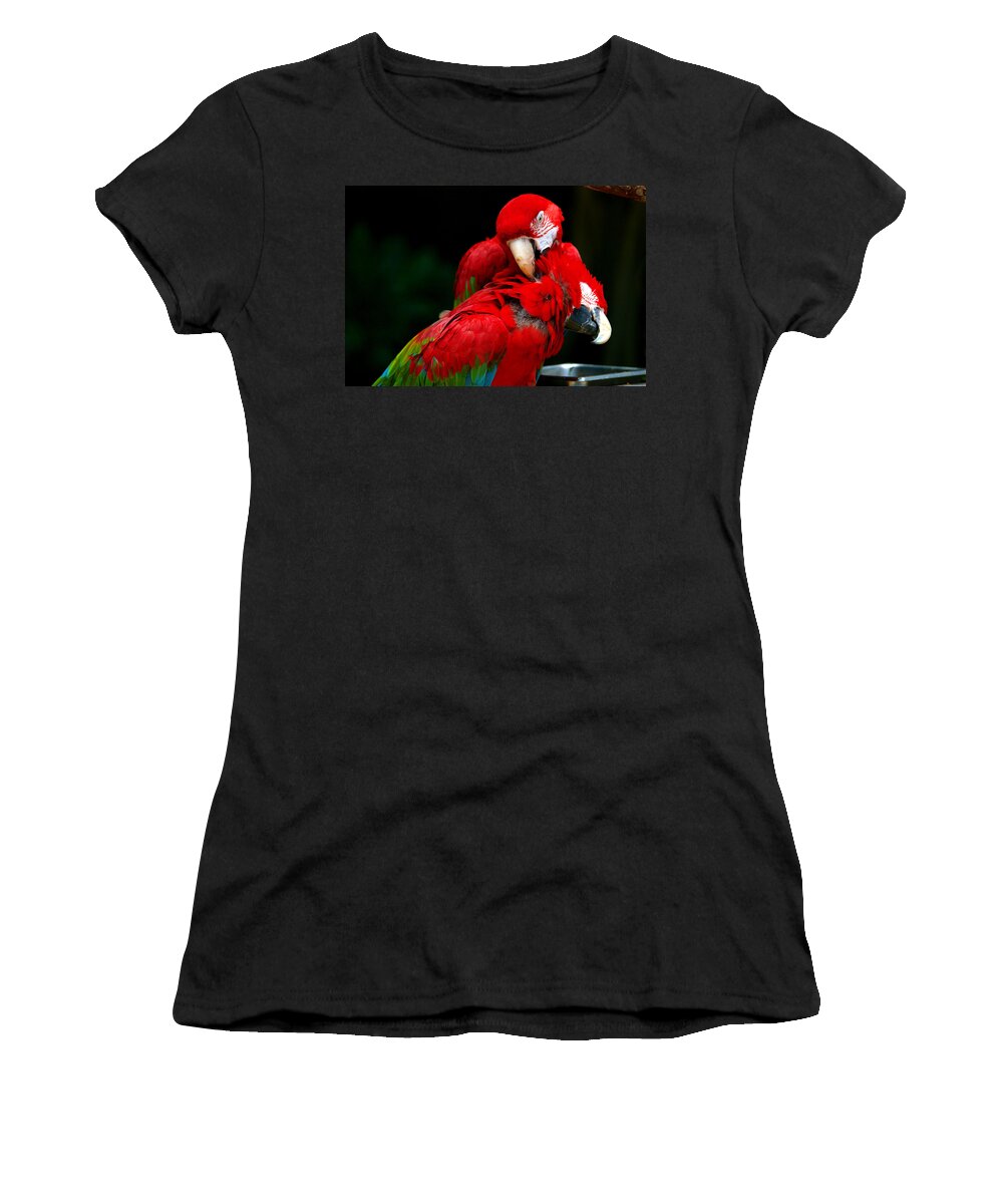 Macaw Women's T-Shirt featuring the photograph Macaws by Paul Ge