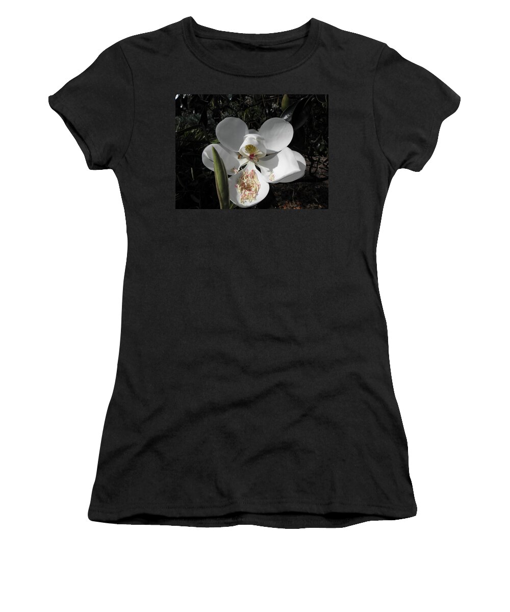 Magnolia Women's T-Shirt featuring the photograph Magnolia by Kim Galluzzo