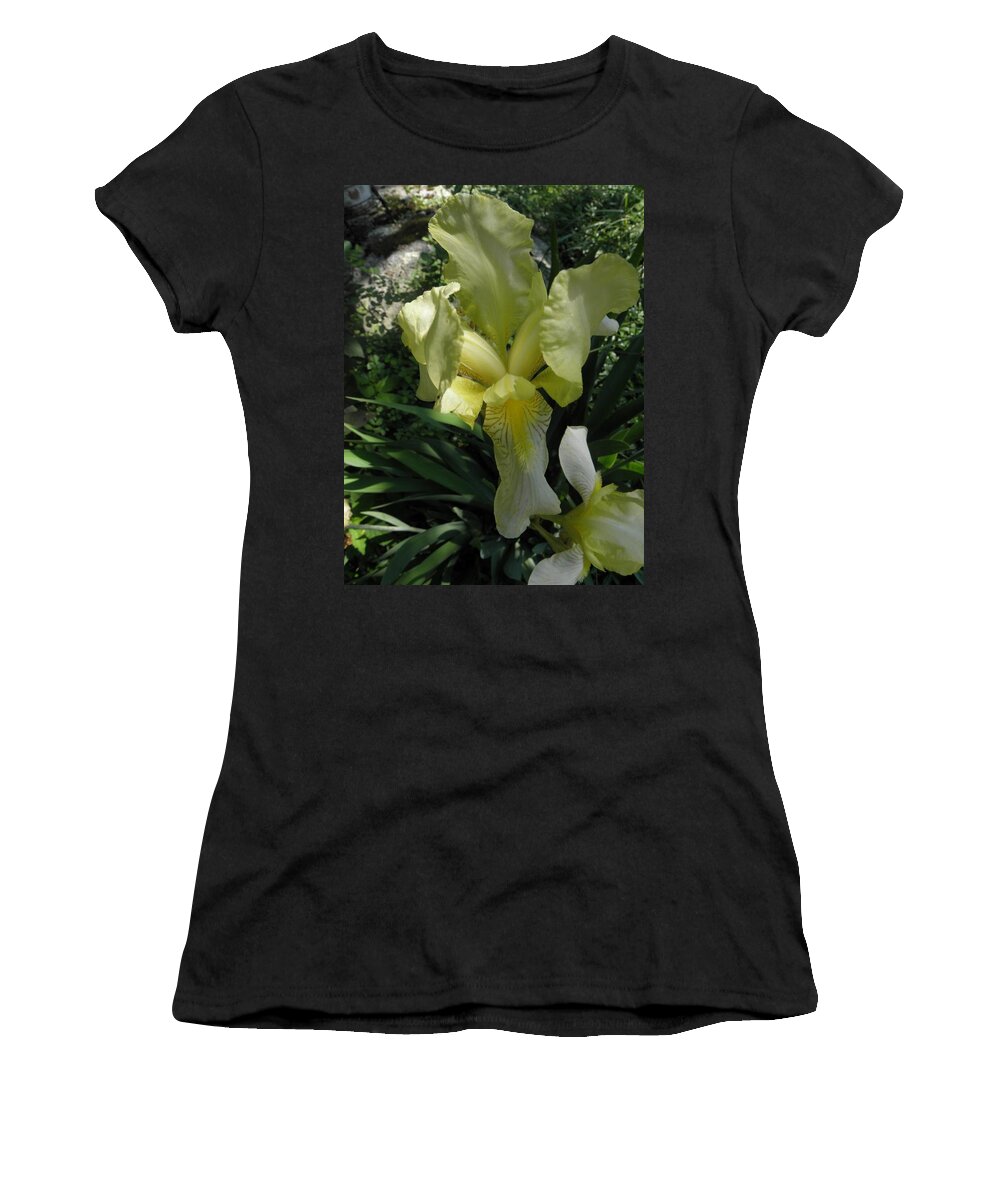 Yellow Women's T-Shirt featuring the photograph Mellow Yellow by Kim Galluzzo