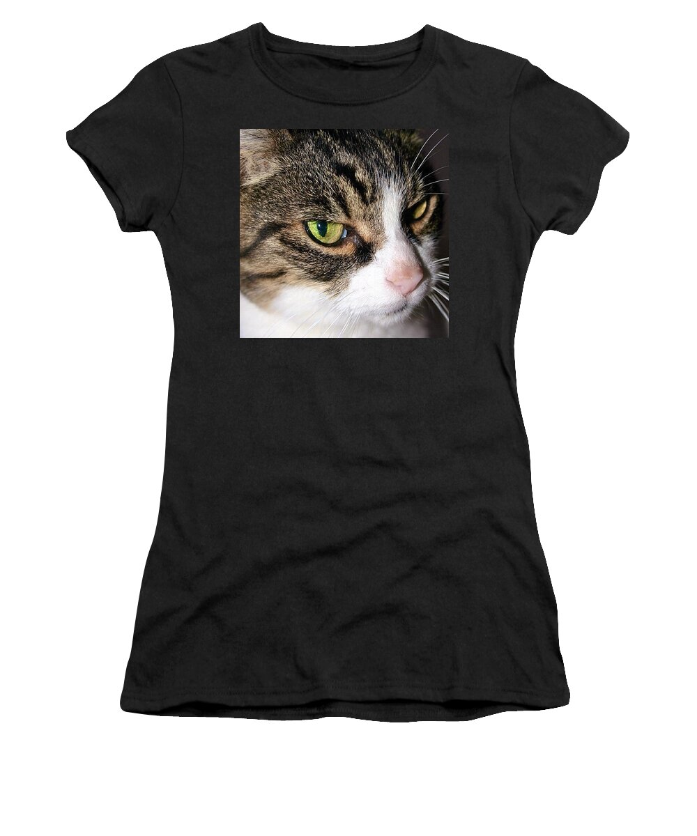 Catstagram Women's T-Shirt featuring the photograph Mittens Says don't Mess With Me! by Anna Porter