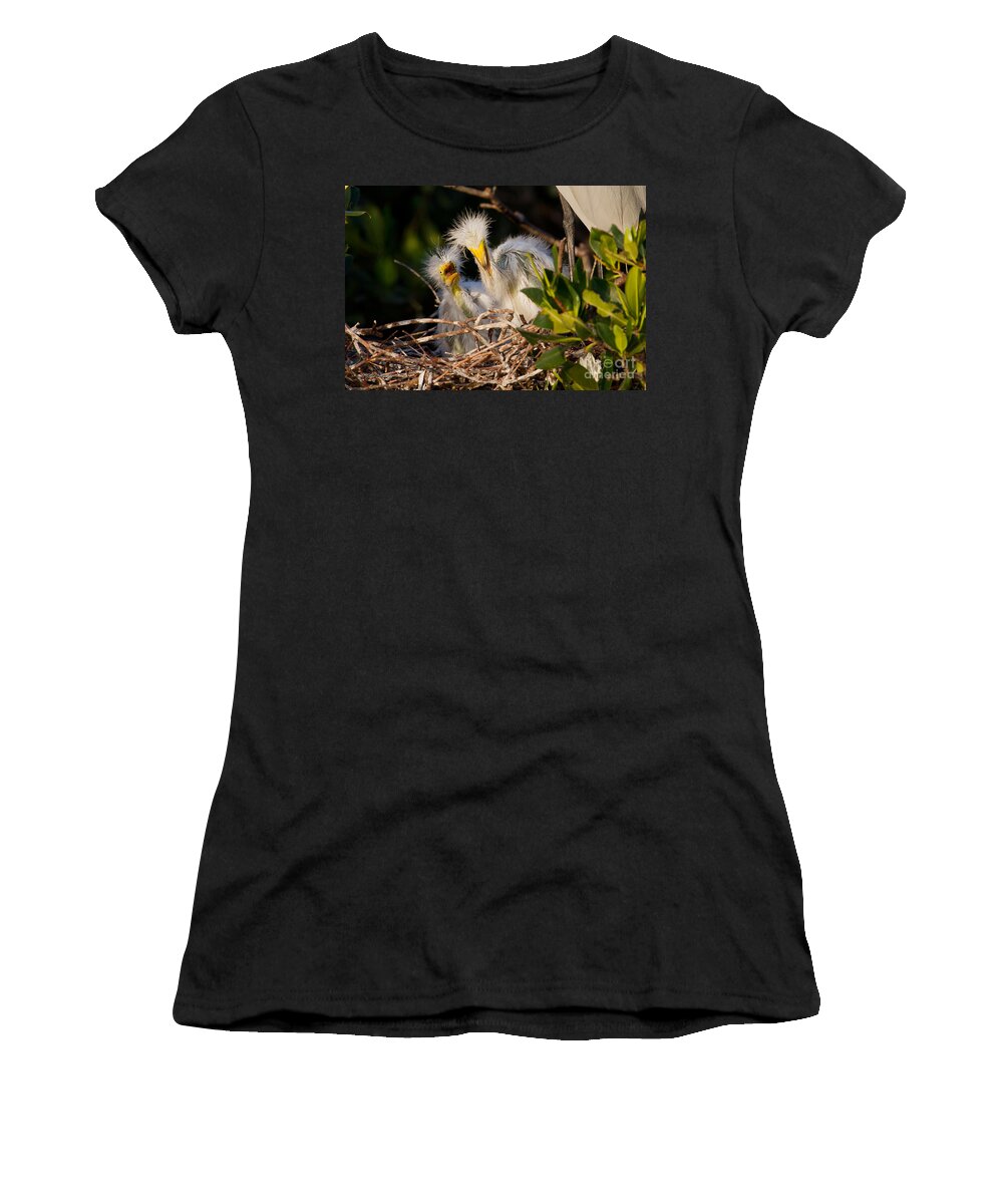 Birds Women's T-Shirt featuring the photograph Mom He Stepped On Me by Sue Karski