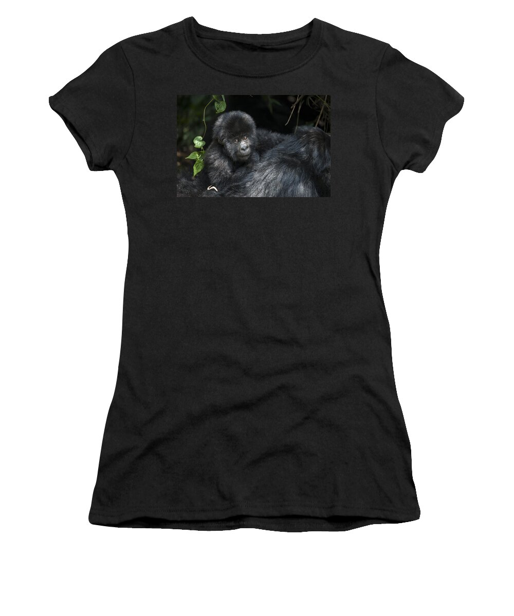 00499675 Women's T-Shirt featuring the photograph Mountain Gorilla 1.5yr Old Baby by Suzi Eszterhas