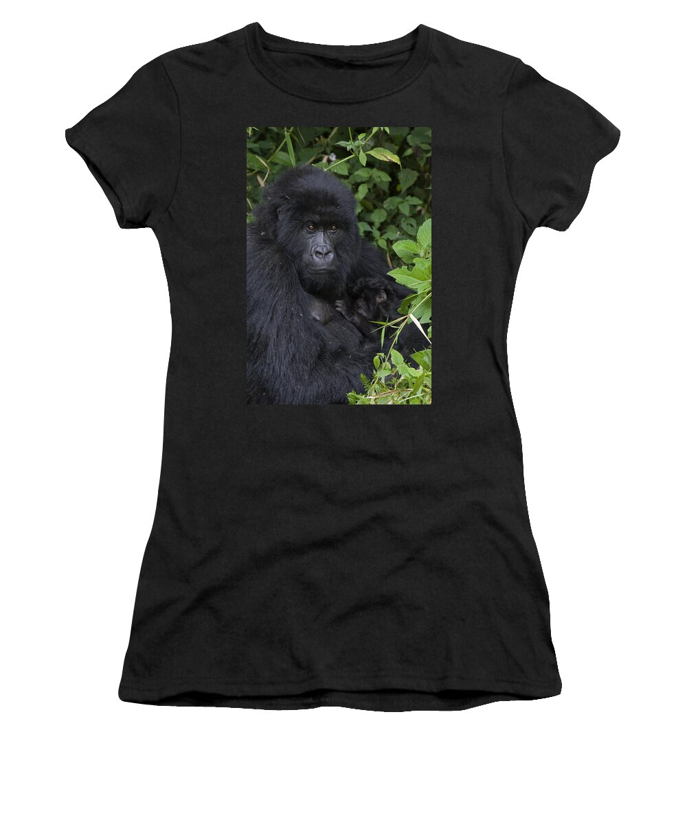 00427965 Women's T-Shirt featuring the photograph Mountain Gorilla Mother And Infant Parc by Suzi Eszterhas