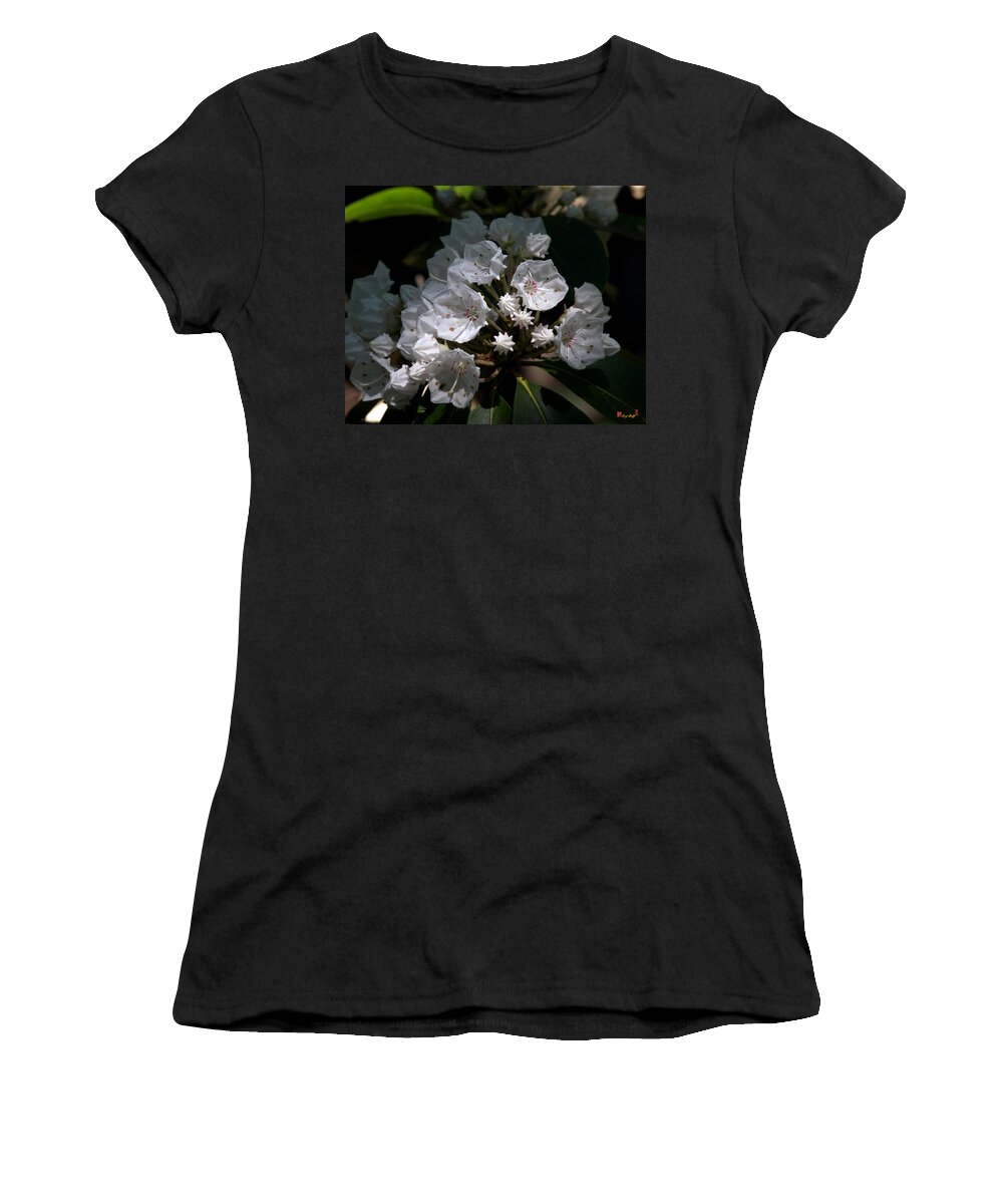Spring Women's T-Shirt featuring the photograph Mountain Laurel DSMF038 by Gerry Gantt