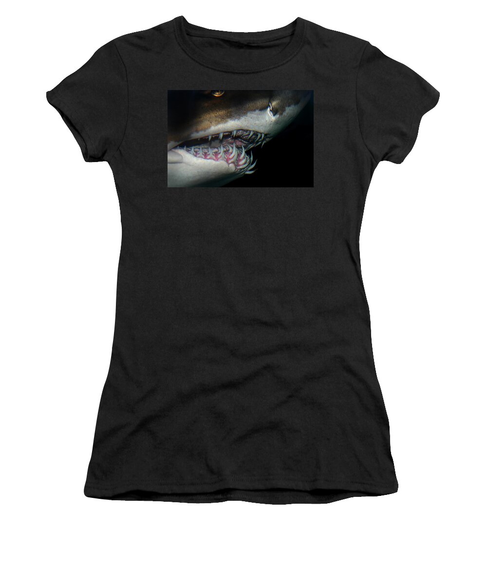 Shark Women's T-Shirt featuring the photograph Mouthy by Anthony Jones