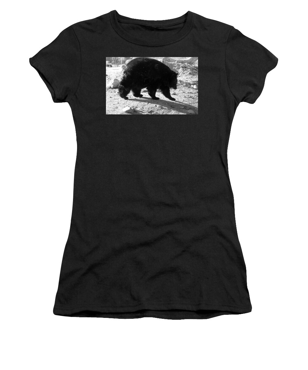 Black Women's T-Shirt featuring the photograph Mrs Black Bear by Kim Galluzzo