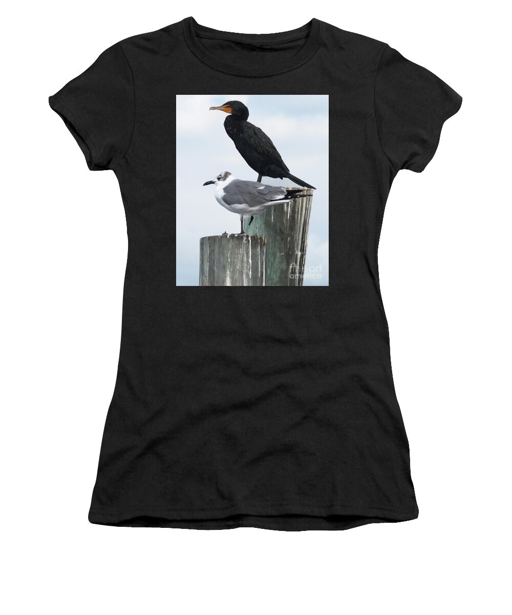 Florida Women's T-Shirt featuring the photograph NOT Birds of a Feather by Chris Andruskiewicz