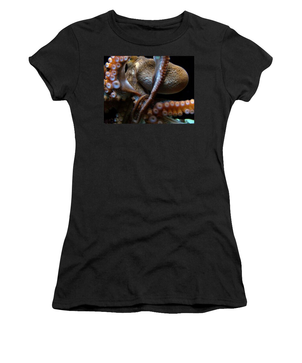 Waikiki Aquarium Women's T-Shirt featuring the photograph Octopus 1 by Jennifer Bright Burr
