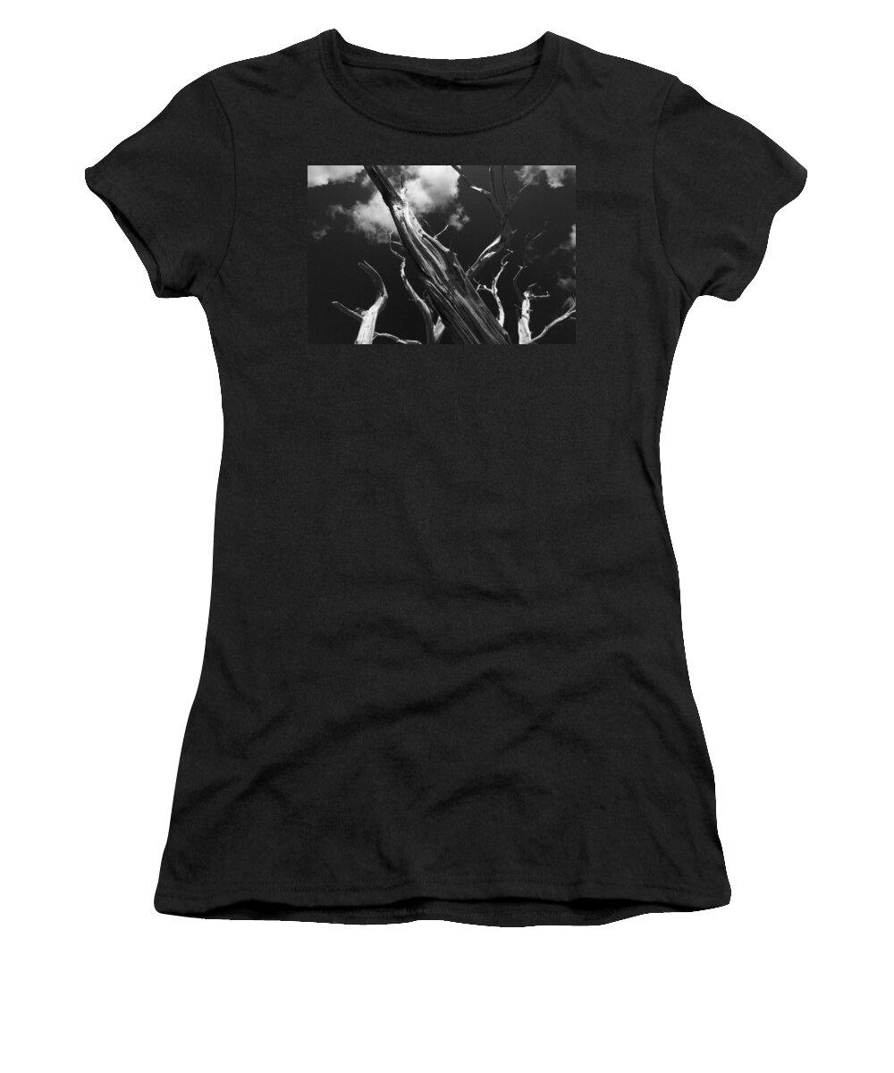 Tree Women's T-Shirt featuring the photograph Old Tree by David Gleeson