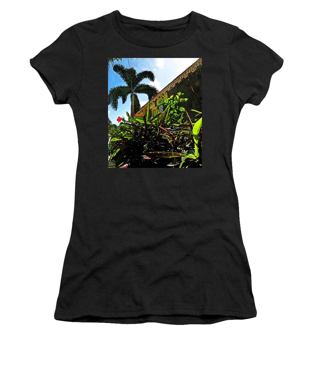 Romney Manor Women's T-Shirt featuring the photograph One Red Flower by Ian MacDonald
