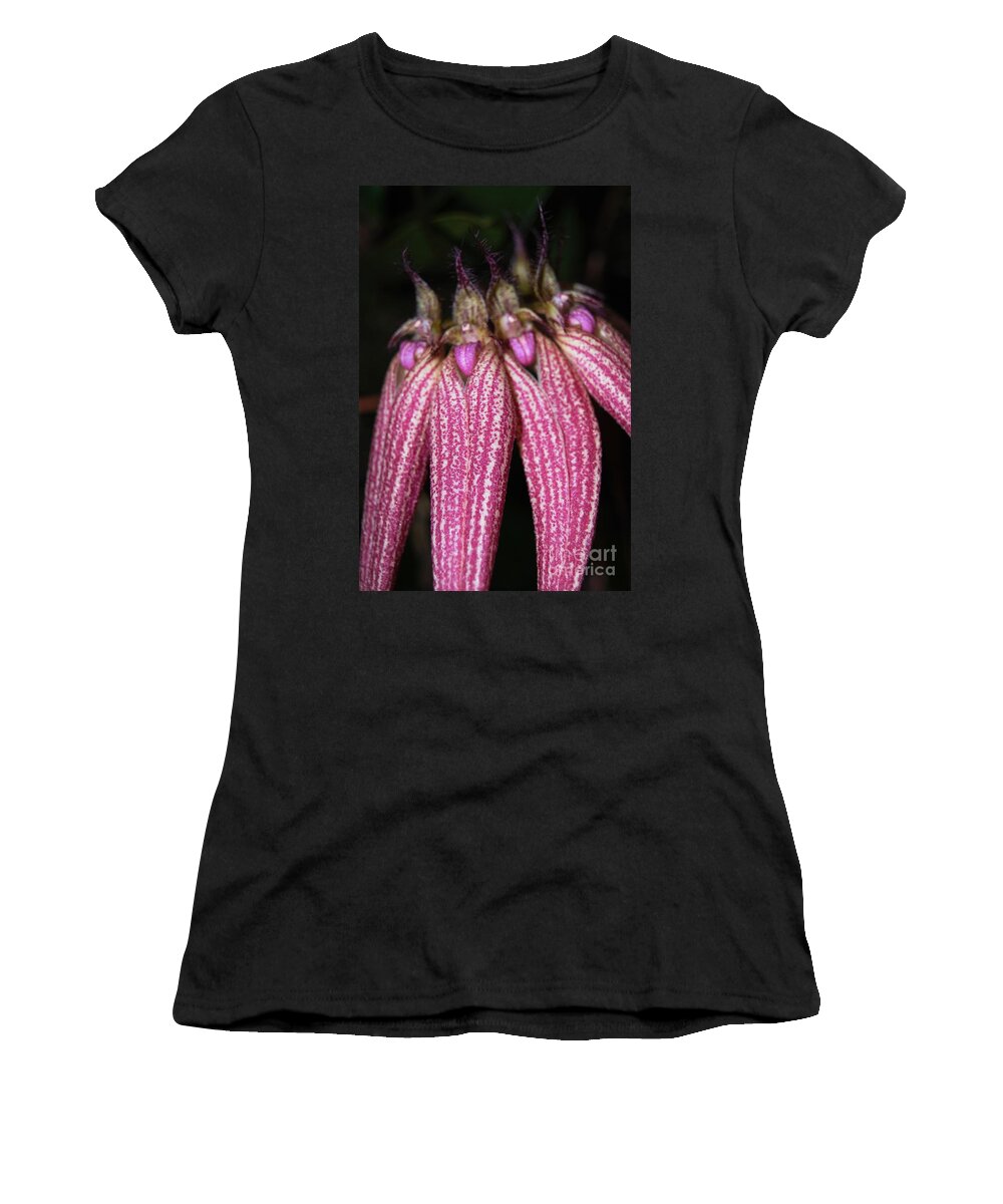 Rare Women's T-Shirt featuring the photograph Orchid Macro 3 by Angela Murray