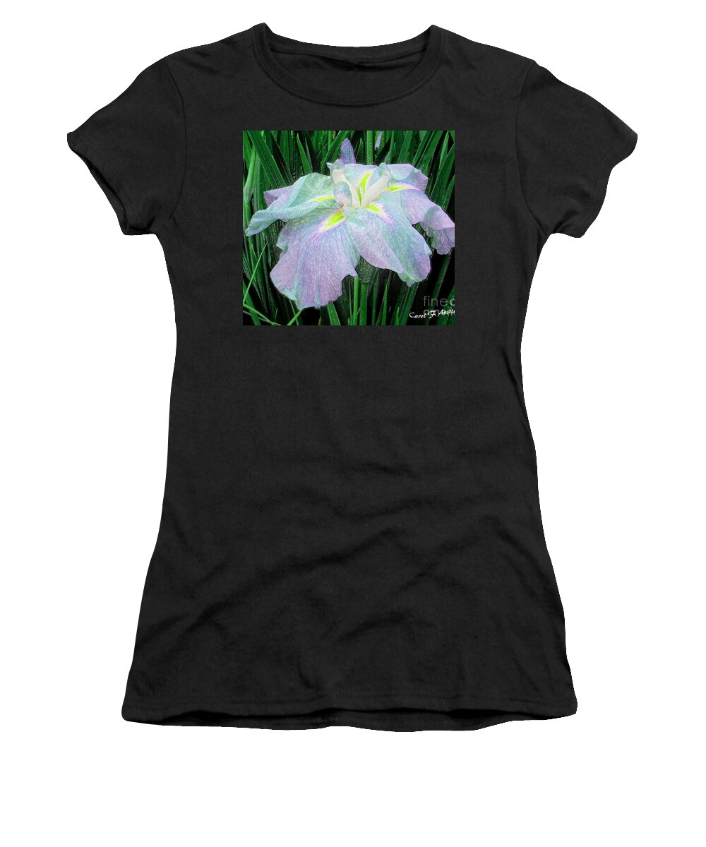 Lavender Women's T-Shirt featuring the photograph Painterly Colorful Iris by Carol F Austin