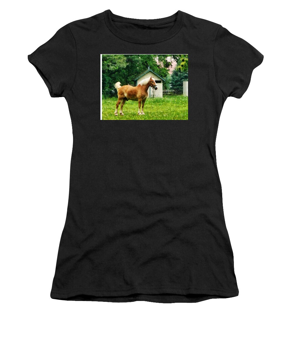 Horse Women's T-Shirt featuring the photograph Palomino in Pasture by Susan Savad
