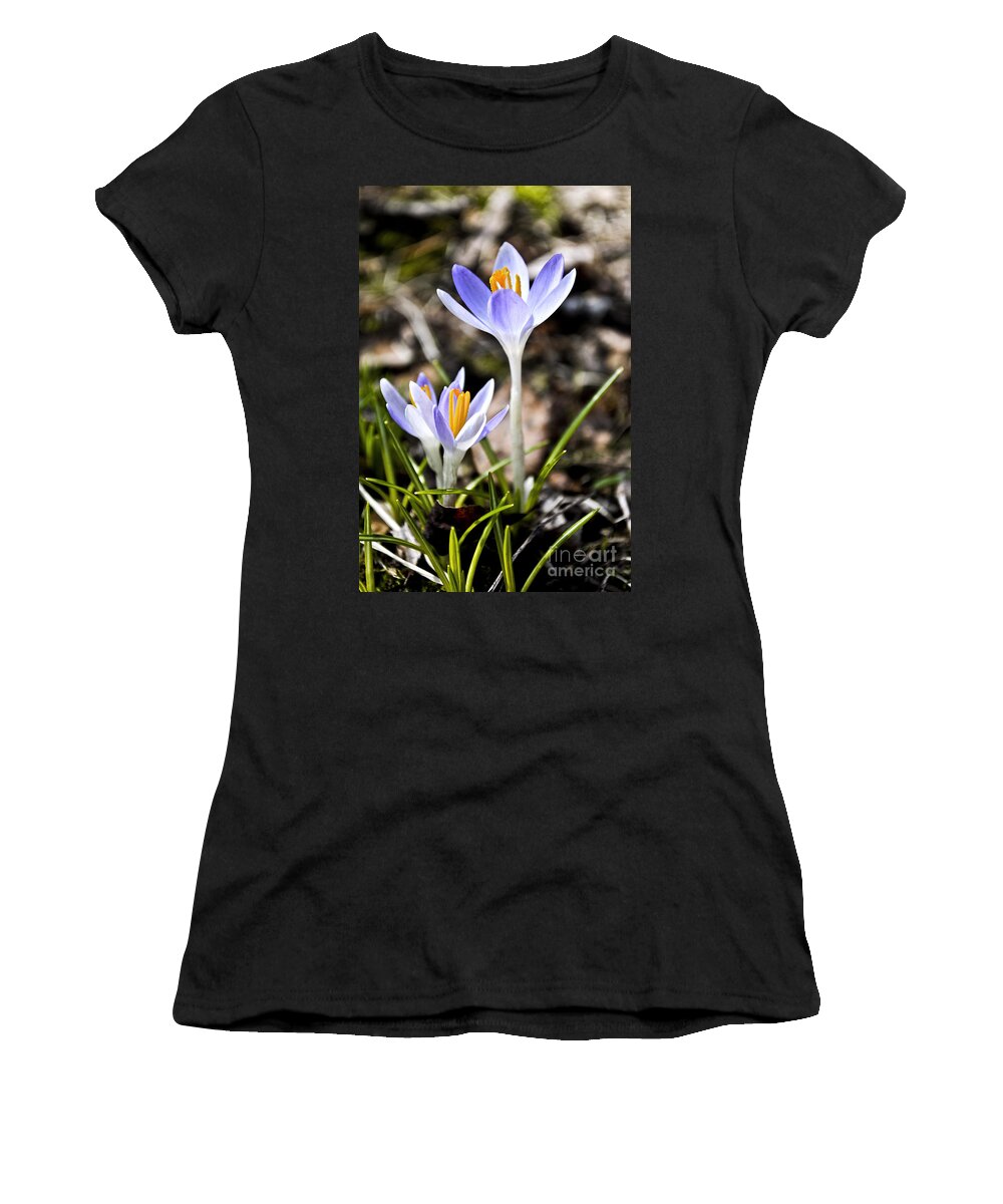  Women's T-Shirt featuring the digital art Peaking Spring by Danielle Summa