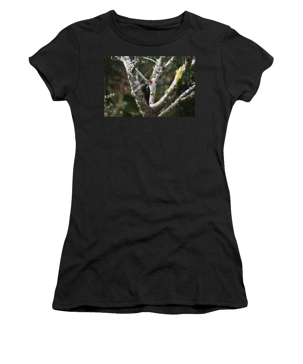 Pileated Woodpecker Women's T-Shirt featuring the photograph Pileated Woodpecker in Cherry Tree by Kym Backland